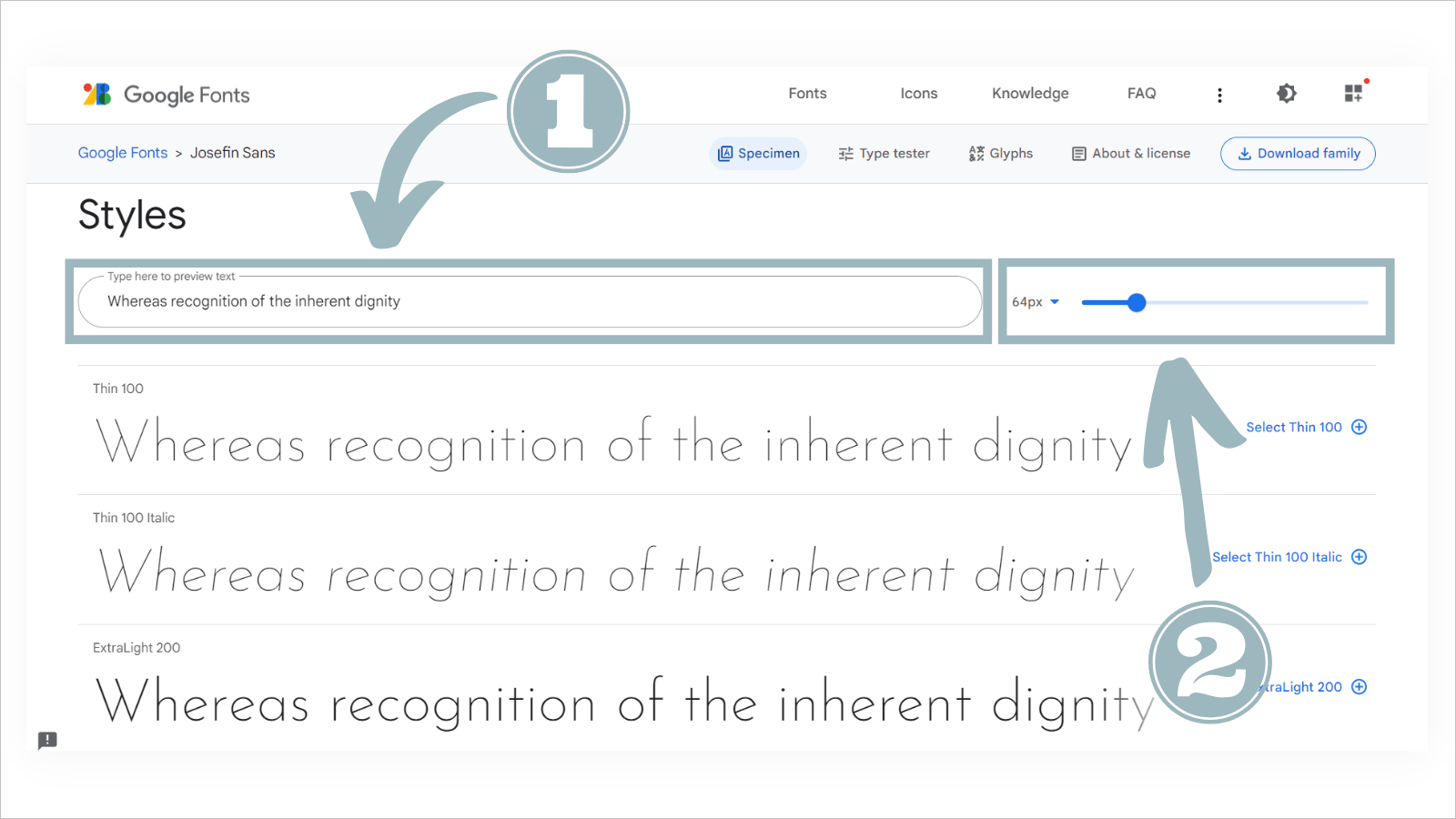 【cocoon】Googleフォント・文字間隔の設定方法【ブロックエディタ】